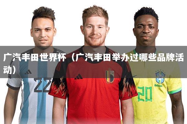 广汽丰田世界杯（广汽丰田举办过哪些品牌活动）