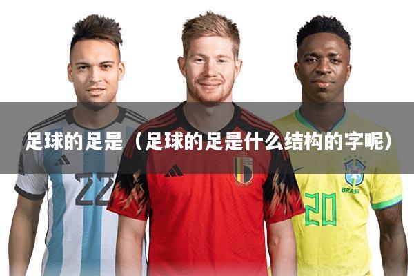 足球的足是（足球的足是什么结构的字呢）