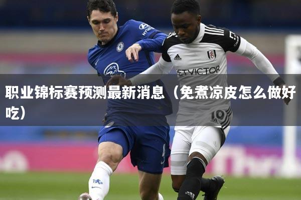 职业锦标赛预测最新消息（免煮凉皮怎么做好吃）