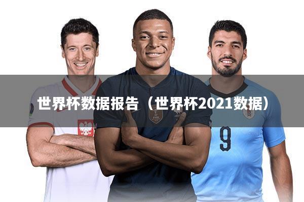 世界杯数据报告（世界杯2021数据）