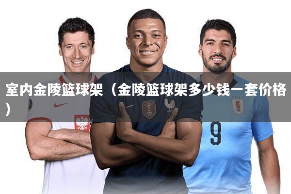 室内金陵篮球架（金陵篮球架多少钱一套价格）