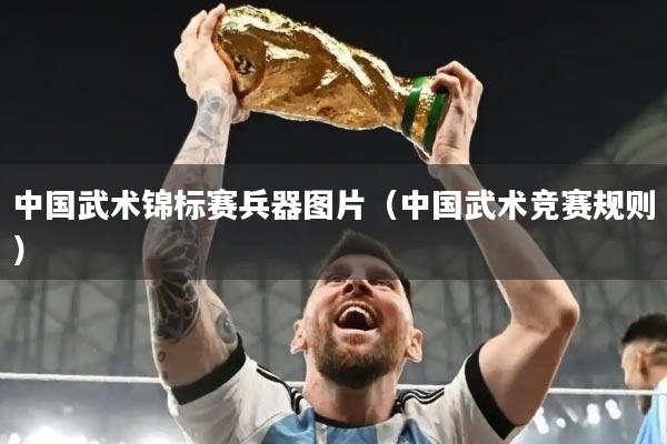 中国武术锦标赛兵器图片（中国武术竞赛规则）