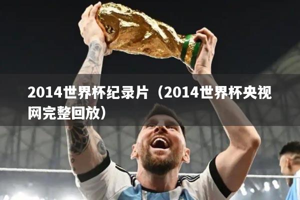 2014世界杯纪录片（2014世界杯央视网完整回放）