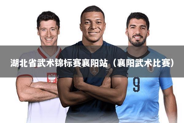 湖北省武术锦标赛襄阳站（襄阳武术比赛）