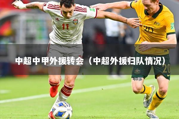 中超中甲外援转会（中超外援归队情况）