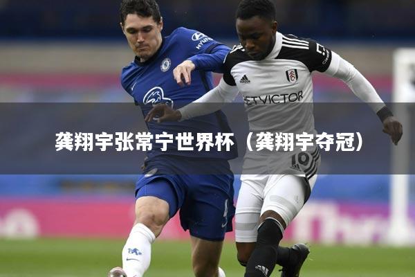 龚翔宇张常宁世界杯（龚翔宇夺冠）