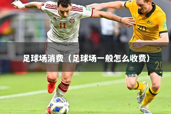足球场消费（足球场一般怎么收费）