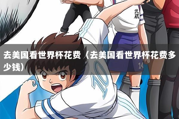 去美国看世界杯花费（去美国看世界杯花费多少钱）