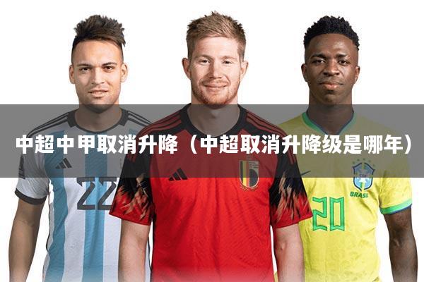 中超中甲取消升降(中超取消升降级是哪年)