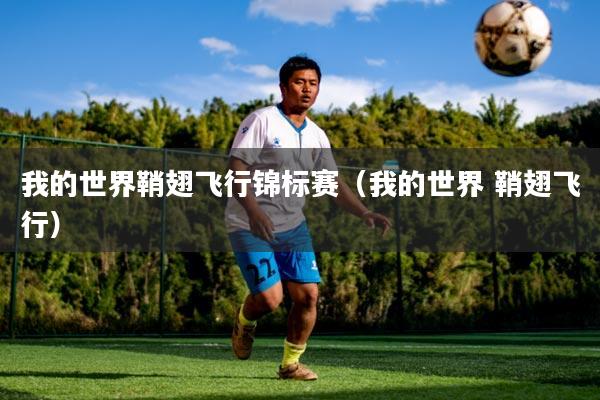 我的世界鞘翅飞行锦标赛(我的世界 鞘翅飞行)