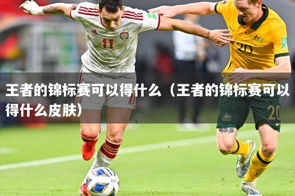 王者的锦标赛可以得什么(王者的锦标赛可以得什么皮肤)