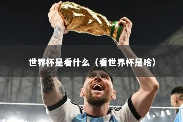 世界杯是看什么(看世界杯是啥)