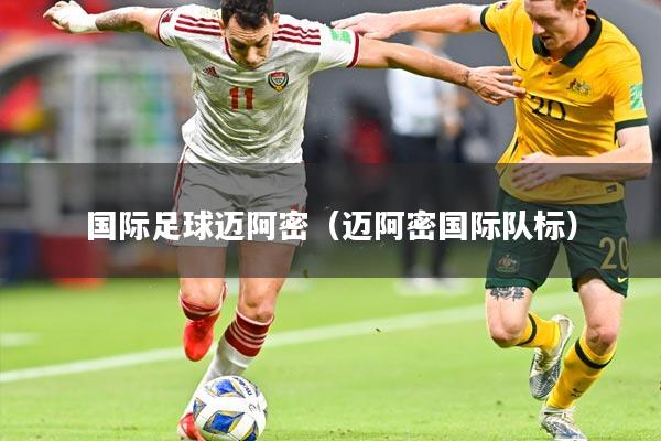 国际足球迈阿密(迈阿密国际队标)