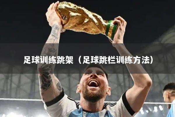 足球训练跳架(足球跳栏训练方法)