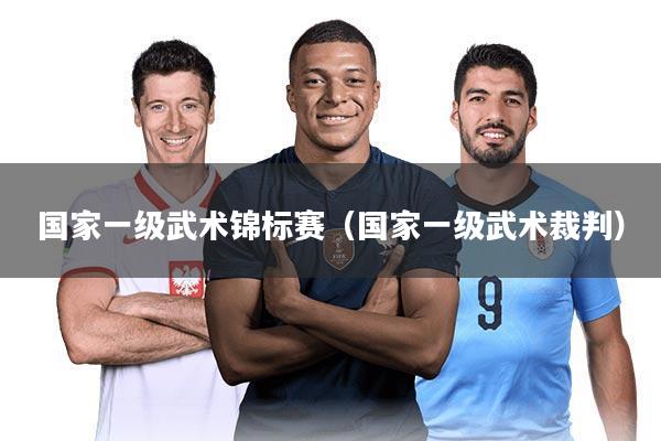 国家一级武术锦标赛（国家一级武术裁判）