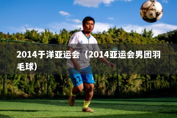 2014于洋亚运会(2014亚运会男团羽毛球)