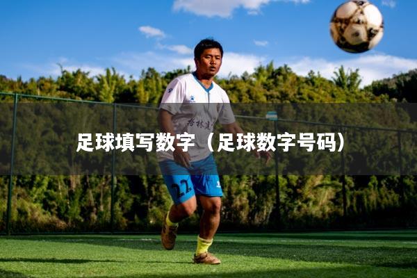 足球填写数字(足球数字号码)