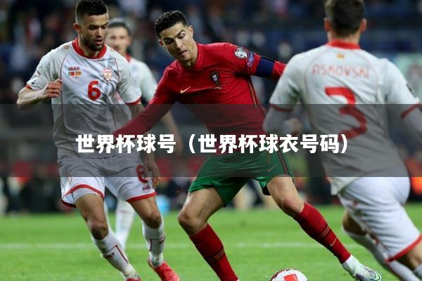 世界杯球号(世界杯球衣号码)