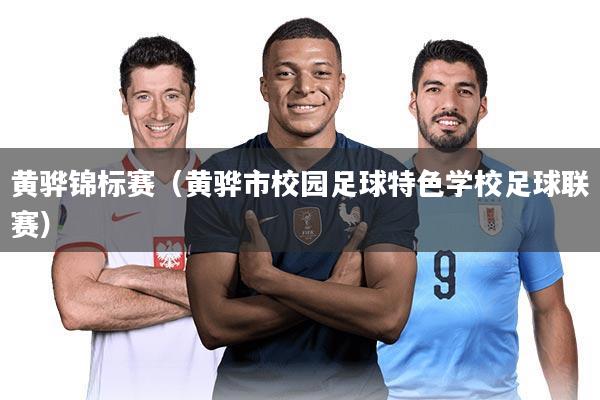 黄骅锦标赛(黄骅市校园足球特色学校足球联赛)