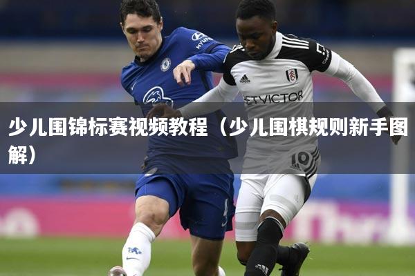 少儿围锦标赛视频教程（少儿围棋规则新手图解）