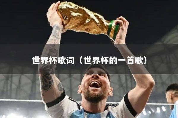 世界杯歌词（世界杯的一首歌）