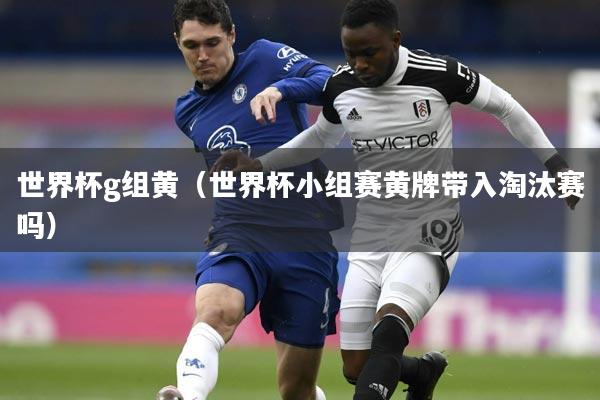 世界杯g组黄（世界杯小组赛黄牌带入淘汰赛吗）